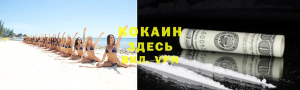 дурь Алзамай