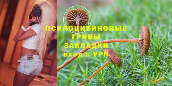 мяу мяу кристалл Алексин