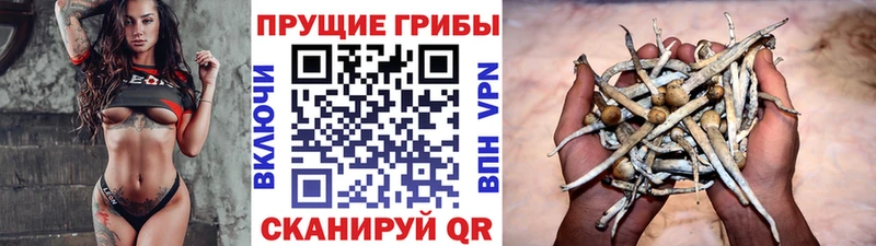 Псилоцибиновые грибы прущие грибы kraken зеркало Гдов